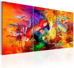 Obraz - Colourful Parrot