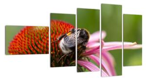 Obraz včely na květu (110x60cm)