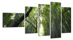Obraz lesů (110x60cm)