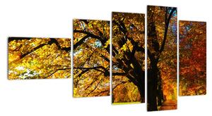 Obraz podzimní krajiny (110x60cm)