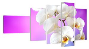 Obraz s orchidejí (110x60cm)