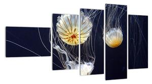 Obraz - medúzy (110x60cm)