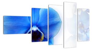 Obraz s orchidejí (110x60cm)