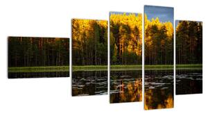 Obraz - podzimní krajina (110x60cm)