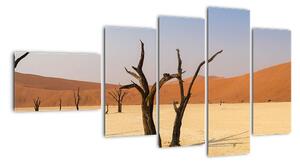 Obraz pouště (110x60cm)
