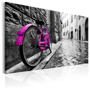 Obraz - Vintage Pink Bike