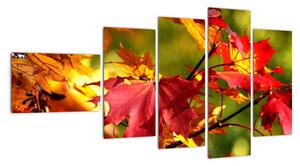 Podzimní listí, obraz (110x60cm)