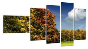 Podzimní krajina, obraz (110x60cm)