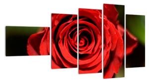 Obrázek růže (110x60cm)