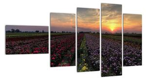Lány květin, obrazy (110x60cm)