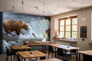 Malvis ® Tapeta Medvědi na lovu Vel. (šířka x výška): 288 x 200 cm
