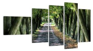 Údolí stromů, obrazy (110x60cm)