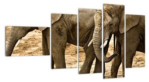 Slon, obraz (110x60cm)