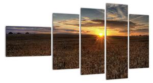 Západ slunce na poli - obraz na stěnu (110x60cm)