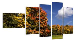 Podzimní stromy - obraz do bytu (110x60cm)
