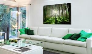 Obraz - Emerald Forest II