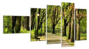 Cesta v parku - obraz (110x60cm)