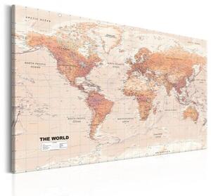 Obraz - World Map: Orange World