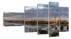 Pohled na město - obraz (110x60cm)