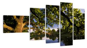 Obrázek stromu - moderní obrazy (110x60cm)