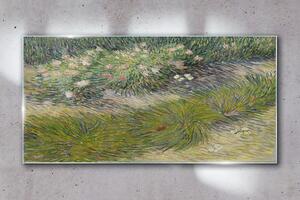 Obraz na skle Obraz na skle Abstrakce lesní trávy