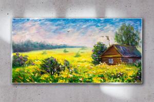 Obraz na skle Obraz na skle Sky květiny Krajina