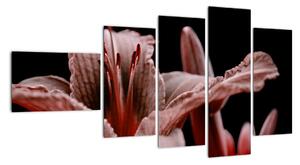 Detail květiny - obraz (110x60cm)