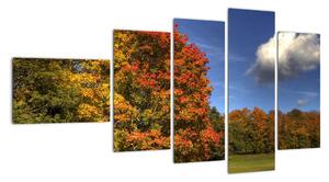 Podzimní stromy - obraz (110x60cm)