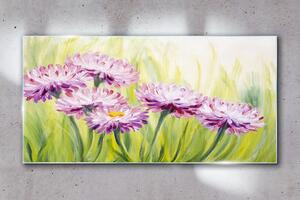Obraz na skle Obraz na skle Květiny rostlin trávy
