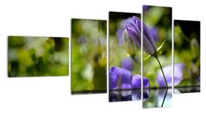 Modrá květina - obraz (110x60cm)
