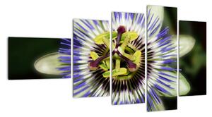 Obrazy květin (110x60cm)