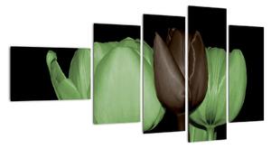 Obraz tulipánů (110x60cm)