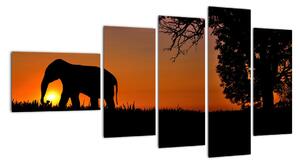 Obraz slona v přírodě (110x60cm)