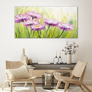 Obraz na skle Obraz na skle Květiny rostlin trávy