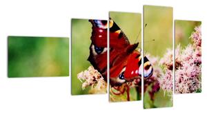 Motýl - obraz (110x60cm)
