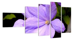 Obraz květu (110x60cm)