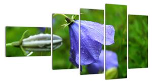 Obrazy květiny (110x60cm)