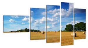 Letní pole - obraz (110x60cm)