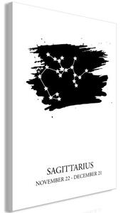 Obraz - Zodiac Signs: Sagittarius (1 Part) Vertical