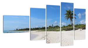Exotická pláž - obraz (110x60cm)