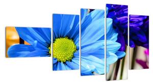Modrá chryzantéma - obrazy (110x60cm)