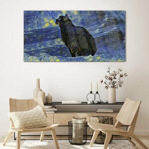 Obraz na skle Obraz na skle Abstrakce kočka noční hvězda