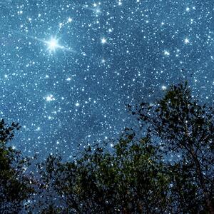Malvis ® Tapeta Noční obloha v lese Vel. (šířka x výška): 144 x 105 cm
