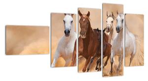 Obraz koně (110x60cm)