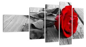 Růže červená - obraz (110x60cm)