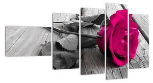 Růže fialová - obraz (110x60cm)