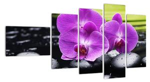 Obraz - orchidej (110x60cm)
