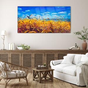 Obraz na skle Obraz na skle Louka pšeničná obloha