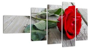 Obraz růže (110x60cm)