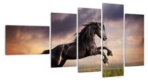 Kůň - obraz (110x60cm)
